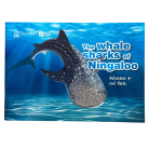 2110769f9e515aebdc8d4747f0b15f11.png